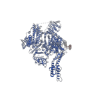 41349_8tkf_B_v1-0
Human Type 3 IP3 Receptor - Activated State (+IP3/ATP/JD Ca2+)