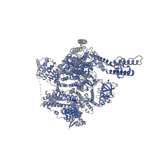 41349_8tkf_C_v1-0
Human Type 3 IP3 Receptor - Activated State (+IP3/ATP/JD Ca2+)
