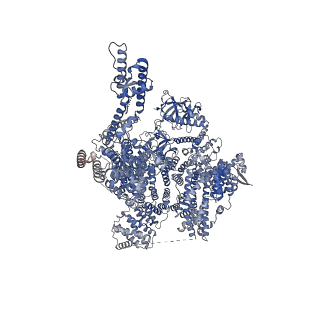 41349_8tkf_D_v1-0
Human Type 3 IP3 Receptor - Activated State (+IP3/ATP/JD Ca2+)