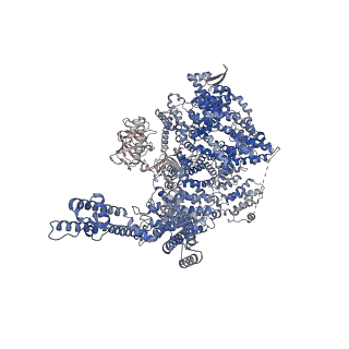 41350_8tkg_A_v1-0
Human Type 3 IP3 Receptor - Resting State (+IP3/ATP)