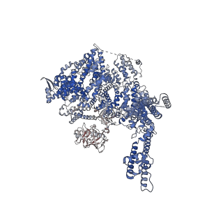 41350_8tkg_B_v1-0
Human Type 3 IP3 Receptor - Resting State (+IP3/ATP)