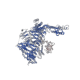 41350_8tkg_C_v1-0
Human Type 3 IP3 Receptor - Resting State (+IP3/ATP)