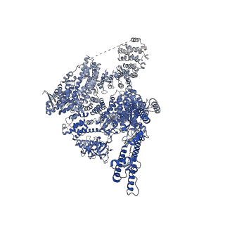 41351_8tkh_B_v1-0
Human Type 3 IP3 Receptor - Labile Resting State 1 (+IP3/ATP)
