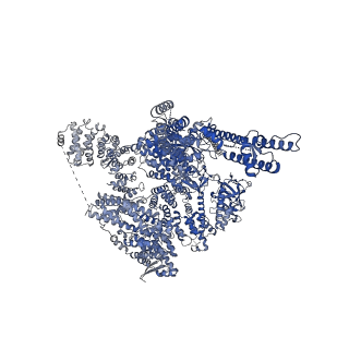 41351_8tkh_C_v1-0
Human Type 3 IP3 Receptor - Labile Resting State 1 (+IP3/ATP)