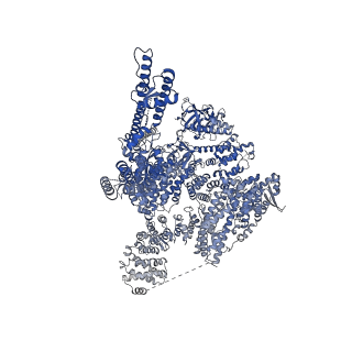 41351_8tkh_D_v1-0
Human Type 3 IP3 Receptor - Labile Resting State 1 (+IP3/ATP)