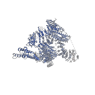 41352_8tki_A_v1-0
Human Type 3 IP3 Receptor - Labile Resting State 2 (+IP3/ATP)