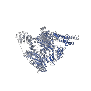41352_8tki_C_v1-0
Human Type 3 IP3 Receptor - Labile Resting State 2 (+IP3/ATP)