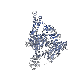 41352_8tki_D_v1-0
Human Type 3 IP3 Receptor - Labile Resting State 2 (+IP3/ATP)