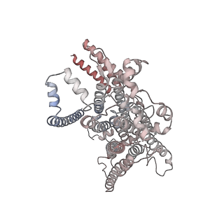 41356_8tkp_A_v1-0
Structure of the C. elegans TMC-2 complex