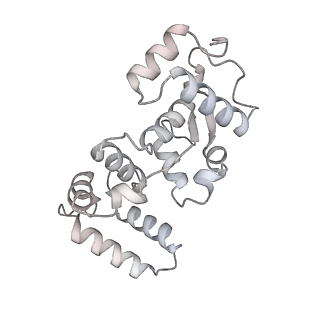 41356_8tkp_B_v1-0
Structure of the C. elegans TMC-2 complex