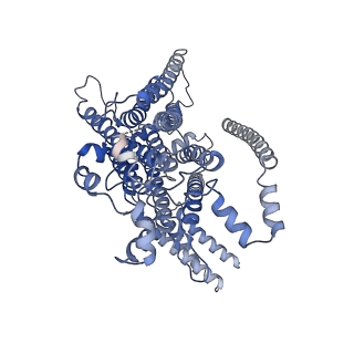 41356_8tkp_D_v1-0
Structure of the C. elegans TMC-2 complex