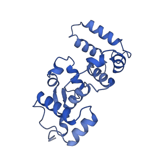 41356_8tkp_E_v1-0
Structure of the C. elegans TMC-2 complex