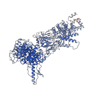 10516_6tlj_A_v1-2
Cryo-EM structure of the Anaphase-promoting complex/Cyclosome, in complex with the Mitotic checkpoint complex (APC/C-MCC) at 3.8 angstrom resolution