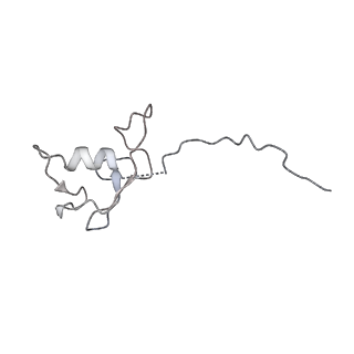 10516_6tlj_B_v1-2
Cryo-EM structure of the Anaphase-promoting complex/Cyclosome, in complex with the Mitotic checkpoint complex (APC/C-MCC) at 3.8 angstrom resolution