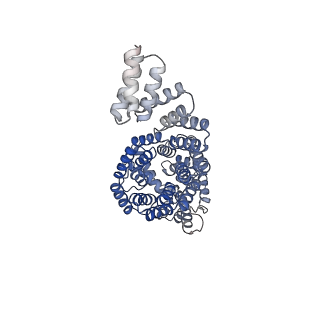 10516_6tlj_C_v1-2
Cryo-EM structure of the Anaphase-promoting complex/Cyclosome, in complex with the Mitotic checkpoint complex (APC/C-MCC) at 3.8 angstrom resolution