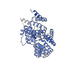 10516_6tlj_F_v1-2
Cryo-EM structure of the Anaphase-promoting complex/Cyclosome, in complex with the Mitotic checkpoint complex (APC/C-MCC) at 3.8 angstrom resolution