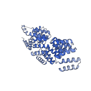 10516_6tlj_H_v1-2
Cryo-EM structure of the Anaphase-promoting complex/Cyclosome, in complex with the Mitotic checkpoint complex (APC/C-MCC) at 3.8 angstrom resolution