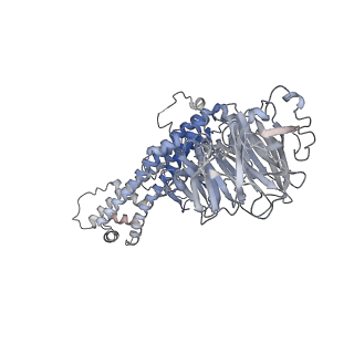 10516_6tlj_I_v1-2
Cryo-EM structure of the Anaphase-promoting complex/Cyclosome, in complex with the Mitotic checkpoint complex (APC/C-MCC) at 3.8 angstrom resolution