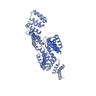 10516_6tlj_J_v1-2
Cryo-EM structure of the Anaphase-promoting complex/Cyclosome, in complex with the Mitotic checkpoint complex (APC/C-MCC) at 3.8 angstrom resolution
