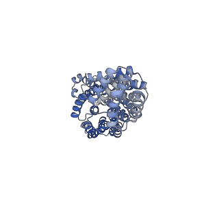 10516_6tlj_K_v1-2
Cryo-EM structure of the Anaphase-promoting complex/Cyclosome, in complex with the Mitotic checkpoint complex (APC/C-MCC) at 3.8 angstrom resolution