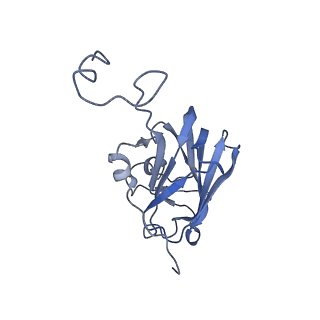 10516_6tlj_L_v1-2
Cryo-EM structure of the Anaphase-promoting complex/Cyclosome, in complex with the Mitotic checkpoint complex (APC/C-MCC) at 3.8 angstrom resolution