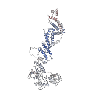 10516_6tlj_N_v1-2
Cryo-EM structure of the Anaphase-promoting complex/Cyclosome, in complex with the Mitotic checkpoint complex (APC/C-MCC) at 3.8 angstrom resolution