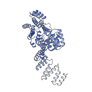 10516_6tlj_P_v1-2
Cryo-EM structure of the Anaphase-promoting complex/Cyclosome, in complex with the Mitotic checkpoint complex (APC/C-MCC) at 3.8 angstrom resolution