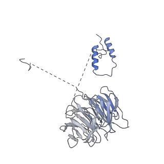 10516_6tlj_R_v1-2
Cryo-EM structure of the Anaphase-promoting complex/Cyclosome, in complex with the Mitotic checkpoint complex (APC/C-MCC) at 3.8 angstrom resolution
