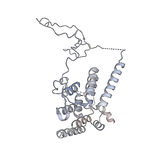 10516_6tlj_S_v1-2
Cryo-EM structure of the Anaphase-promoting complex/Cyclosome, in complex with the Mitotic checkpoint complex (APC/C-MCC) at 3.8 angstrom resolution