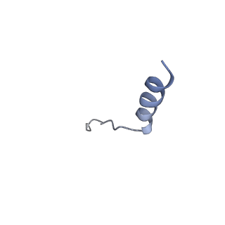 10516_6tlj_W_v1-2
Cryo-EM structure of the Anaphase-promoting complex/Cyclosome, in complex with the Mitotic checkpoint complex (APC/C-MCC) at 3.8 angstrom resolution