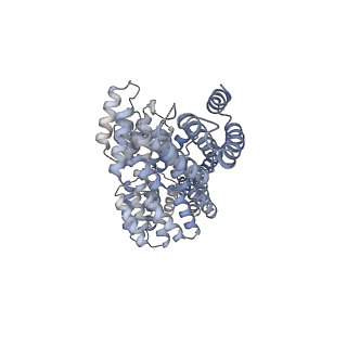10516_6tlj_Y_v1-2
Cryo-EM structure of the Anaphase-promoting complex/Cyclosome, in complex with the Mitotic checkpoint complex (APC/C-MCC) at 3.8 angstrom resolution