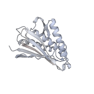 10516_6tlj_Z_v1-2
Cryo-EM structure of the Anaphase-promoting complex/Cyclosome, in complex with the Mitotic checkpoint complex (APC/C-MCC) at 3.8 angstrom resolution