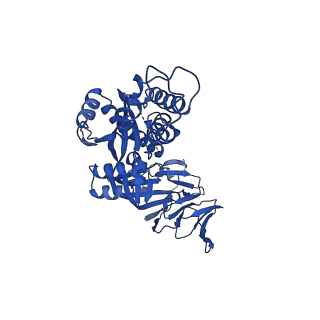 25982_7tl0_A_v1-1
Cryo-EM structure of hMPV preF bound by Fabs MPE8 and SAN32-2