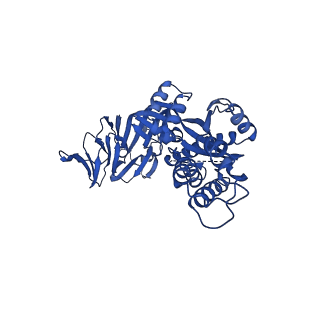 25982_7tl0_B_v1-1
Cryo-EM structure of hMPV preF bound by Fabs MPE8 and SAN32-2