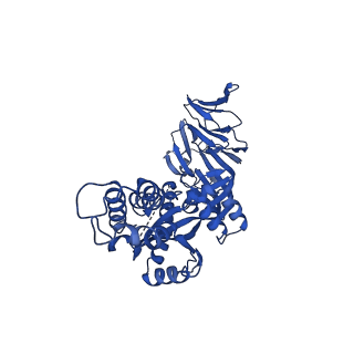25982_7tl0_C_v1-1
Cryo-EM structure of hMPV preF bound by Fabs MPE8 and SAN32-2