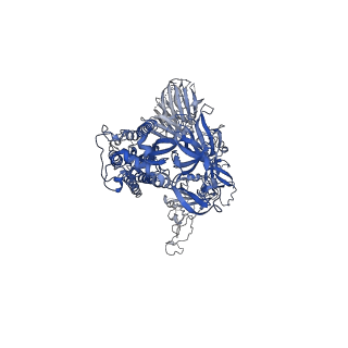 25983_7tl1_C_v1-1
SARS-CoV-2 Omicron 3-RBD down Spike Protein Trimer without the P986-P987 stabilizing mutations (S-GSAS-Omicron)