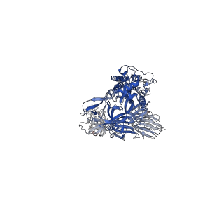 25984_7tl9_B_v1-1
SARS-CoV-2 Omicron 1-RBD up Spike Protein Trimer without the P986-P987 stabilizing mutations (S-GSAS-Omicron)