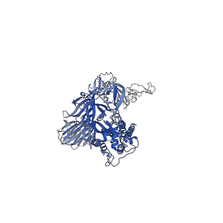 25984_7tl9_C_v1-1
SARS-CoV-2 Omicron 1-RBD up Spike Protein Trimer without the P986-P987 stabilizing mutations (S-GSAS-Omicron)