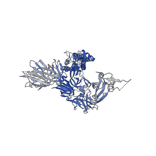 25986_7tlb_A_v1-1
Down-state locked rS2d SARS-CoV-2 spike ectodomain in the RBD-down conformation, State 2