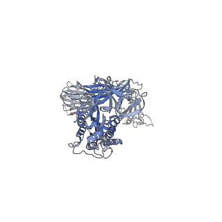 25987_7tlc_B_v1-2
Down-state locked, S2 stabilized rS2d-HexaPro SARS-CoV-2 spike ectodomain in the RBD-down conformation, State 1