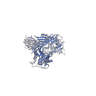 25988_7tld_B_v1-2
Down-state locked, S2 stabilized rS2d-HexaPro SARS-CoV-2 spike ectodomain in the RBD-down conformation, State 2