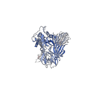 25988_7tld_C_v1-2
Down-state locked, S2 stabilized rS2d-HexaPro SARS-CoV-2 spike ectodomain in the RBD-down conformation, State 2