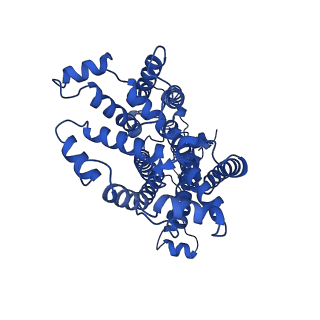 25989_7tlj_A_v1-0
Rhodobacter sphaeroides Mitochondrial respiratory chain complex
