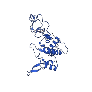 25989_7tlj_B_v1-0
Rhodobacter sphaeroides Mitochondrial respiratory chain complex