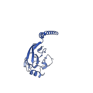25989_7tlj_C_v1-0
Rhodobacter sphaeroides Mitochondrial respiratory chain complex