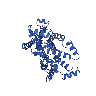 25989_7tlj_E_v1-0
Rhodobacter sphaeroides Mitochondrial respiratory chain complex
