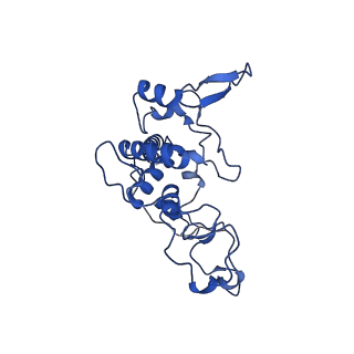 25989_7tlj_F_v1-0
Rhodobacter sphaeroides Mitochondrial respiratory chain complex