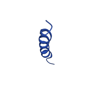 25989_7tlj_H_v1-0
Rhodobacter sphaeroides Mitochondrial respiratory chain complex