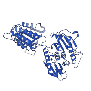 41358_8tl0_B_v1-0
Structure of activated SAVED-CHAT filament