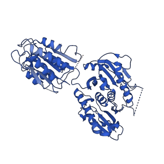 41358_8tl0_C_v1-0
Structure of activated SAVED-CHAT filament